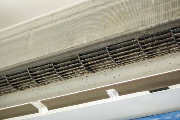 Best Affordable Duct Cleaning Services  in Su Oswego, NY